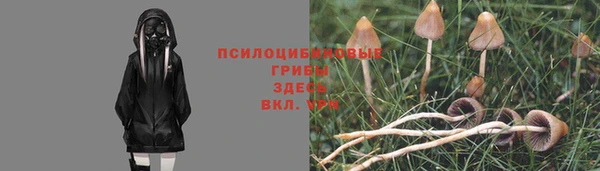 a pvp Абинск
