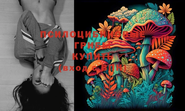 прущие крисы Абаза