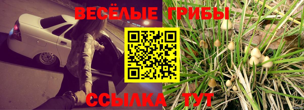 Псилоцибиновые грибы мухоморы Якутск