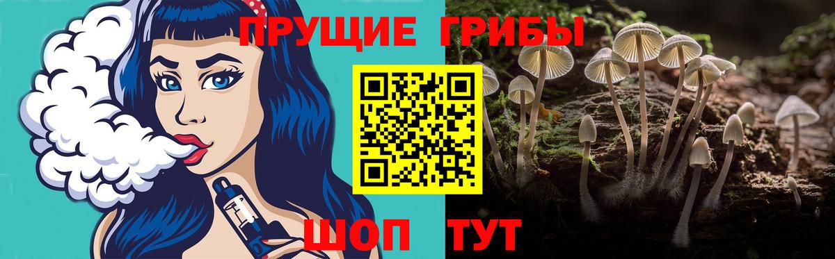 Якутск  Галлюциногенные грибы MAGIC MUSHROOMS  хочу наркоту  Вход с VPN  Псилоцибиновые грибы мицелий 